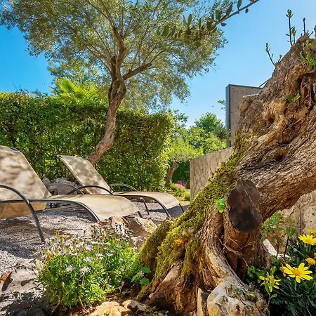 House Maxim Holiday home